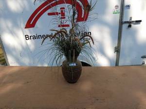 Decorative Vase with Artificial Grass Plants