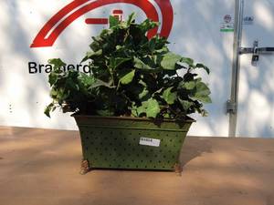 Artificial Plant in Green Metal Planter
