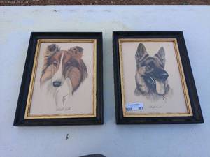 Pair of Framed Dog Portraits - Scotch Collie and German Shepherd