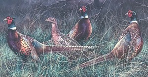lot 286 image: Framed Pheasants Print by Bradshaw