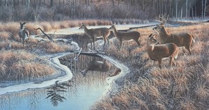 lot 305 image: Deer Creek Crossing Print by Jim Kasper