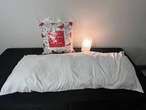 lot 47 image: Decorative Cardinal Pillow, Large White Pillow, and Decorative Table Lamp