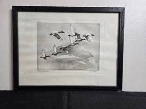 lot 230 image: Framed Bird Print Signed by Artist