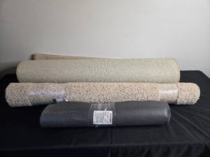lot 251 image: Lot of Area Rugs - Various Sizes and Colors
