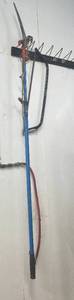 lot 159 image: Extendable Pole Pruner and Saw