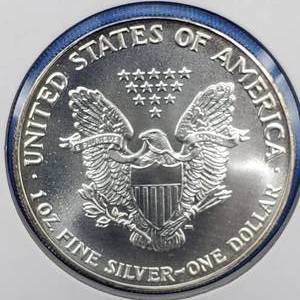 lot 67 image: 1991 American Silver Eagle