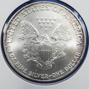 lot 73 image: 2007 American Silver Eagle