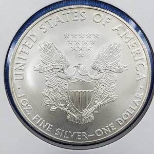 lot 76 image: 2009 American Silver Eagle