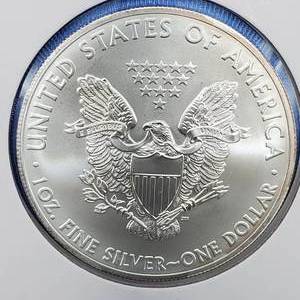 lot 81 image: 2014 American Silver Eagle