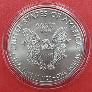 lot 124 image: 2016 American Silver Eagle