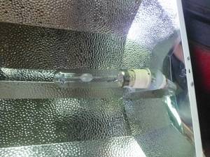 lot 227 image: 3 New Unused Grow Lights