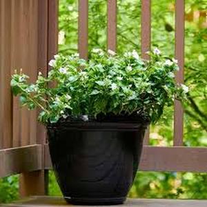 Lot of Vigoro 14.9 in. Oakland Large Black High-Density Resin Planter (14.9 in. D x 12 in. H) With Drainage Hole  Customer Returns See Pictures