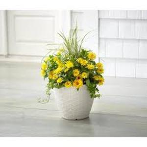 Lot of Vigoro 13 in. Kingfield Medium Beige Woven Texture Resin Planter (13 in. D x 10.8 in. H) with Drainage Hole  Customer Returns See Pictures