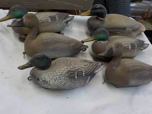 6 Decoys with some with Weights...