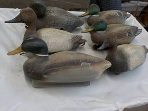 6 Decoys with some with Weights...
