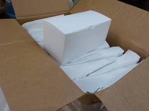 Case of 250 White Boxes 9 x 4 x 4...