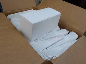 Case of 250 White Boxes 9 x 4 x 4...