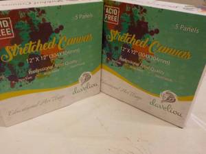 10 x 12 x 12 Daveliou Canvas Panels...