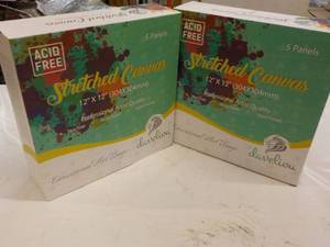 10 x 12 x 12 Daveliou Canvas Panels...