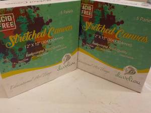 10 x 12 x 12 Daveliou Canvas Panels...