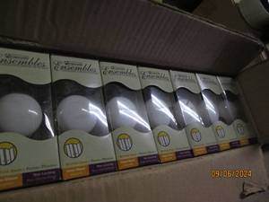 case of 24 fine porcelain white bra...