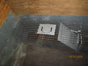 live trap...