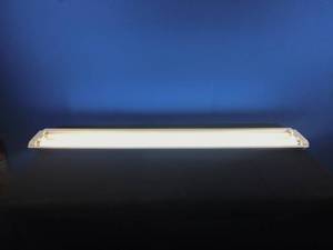 50 Shop Light