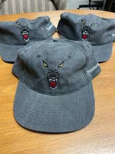 lot 85 image: (3) Timberwolves Adjustable Caps