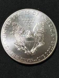 2013 AMERICAN SILVER EAGLE 1 TROY OZ .999 FINE SILVER