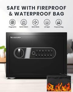 lot 16 image: Novasafe Biometric Safe