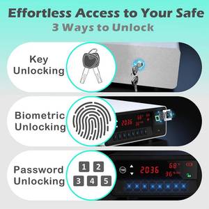 lot 17 image: Qingeno Biometric Gun Safe