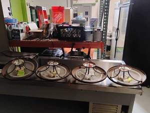 lot 21 image: 4 FLUSH MOUNT COPPER TONE LIGHT FIXTURES