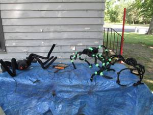 Spiderwebs and posable spider props...