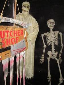 Life size skeleton, hanging light u...