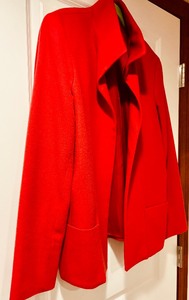 lot 168 image: Wool Blend Coat by Barry Bricken  Size 14