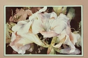 lot 148 image: Beautiful Framed Floral Print