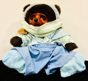 lot 248 image: Raikes Bears by Robert Raikes Original Nurse Costume