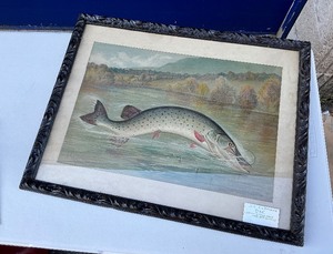 S.A Kilbourne (1836-1881) Muskie Lunge -Framed Signed Print