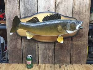 lot 281 image: Large Walleye Mount - Nice