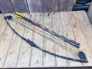 lot 289 image: Youth Compound Bow with Arrows