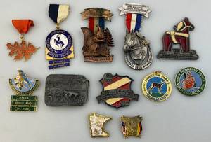 lot 196 image: Misc. Trail Pins & More