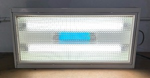 lot 246 image: Swell Shop Light