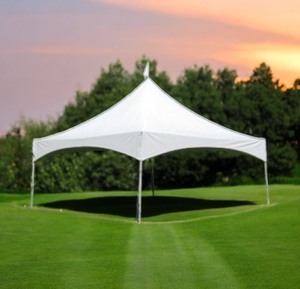 lot 13A image: 20x20 Commercial Tent