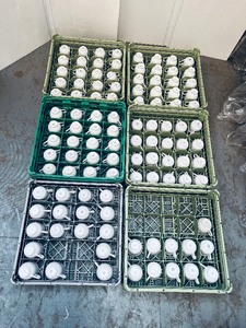 lot 225 image: (approx 107) White China cups Mikasa, Royal Sheffield & Seltmann Weiden.  Racks are Vollrath.