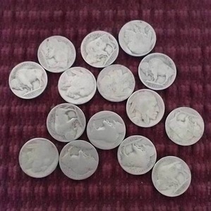 (15) Buffalo Nickels