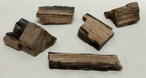 lot 310 image: Assorted Pieces of PETRIFIED WOOD -Qty 5