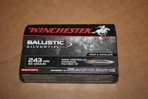 lot 500 image: Lot of (1 Box) Winchester Ballistic Silver Tip Deer & Antelope 243 WIN 95gr Rapid Controlled Expansion Polymer Tip Cartridges 20-count ( 20 total items )