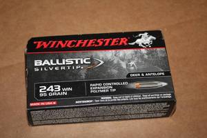 lot 501 image: Lot of (1 Box) Winchester Ballistic Silver Tip Deer & Antelope 243 WIN 95gr Rapid Controlled Expansion Polymer Tip Cartridges 20-count ( 20 total items )