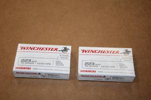 lot 527 image: Lot of (2 Boxes) Winchester Ballistic Silver Tip Target 223 REM 55gr Full Metal Jacket Rounds 20-count ( 40 total items )