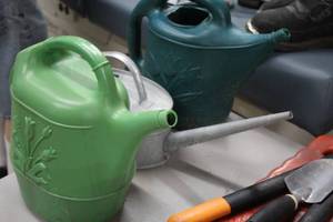 lot 1099 image: Lot of (3) Watering Cans - Metal, Blue Plastic, Green Plastic